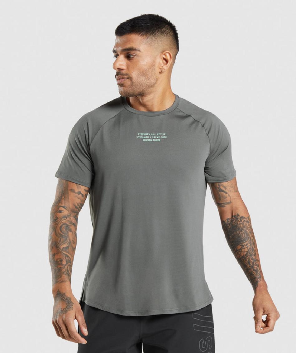 Gymshark Gymshark//Steve Cook Muške T Shirts Sive | HR 2359ILH